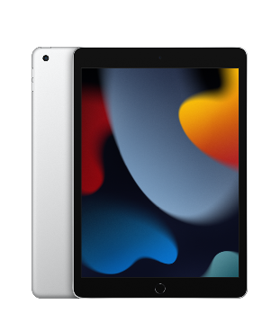 iPad 9 поколения Wi-Fi серебристый