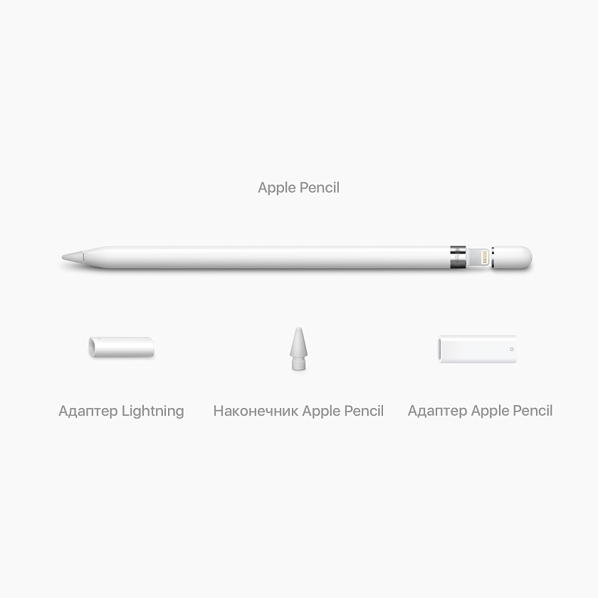 Apple Pencil + адаптер USB-C